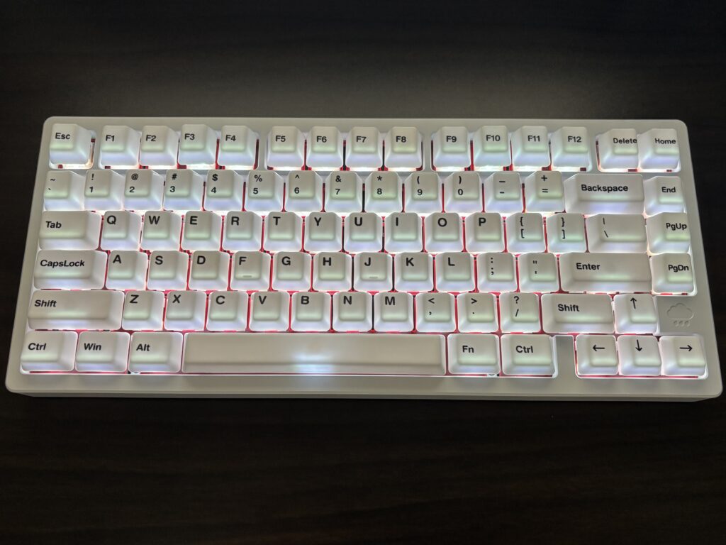 バックライトを透過している様子