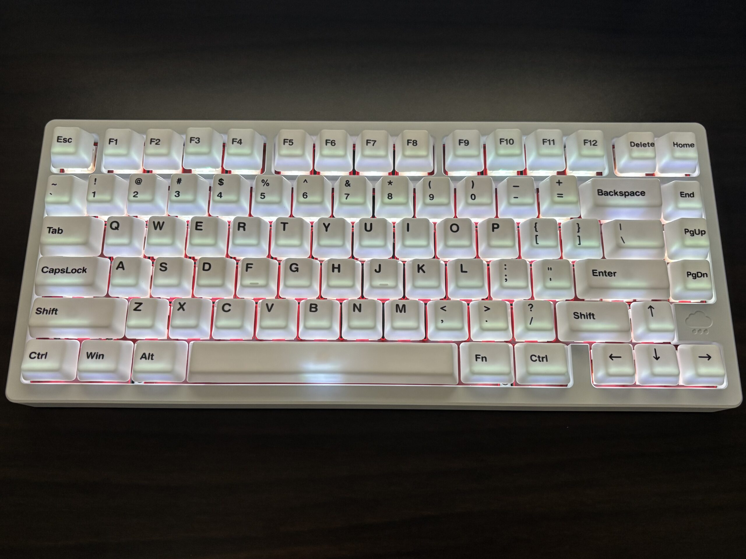 バックライトを透過している様子